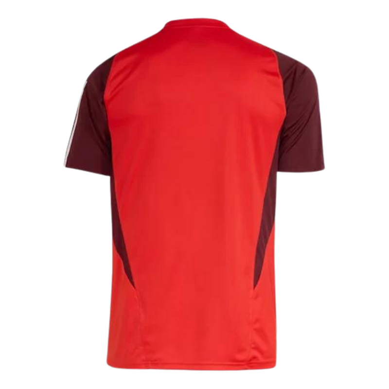 Camiseta Entrenamiento Internacional 24/25 - Hombre