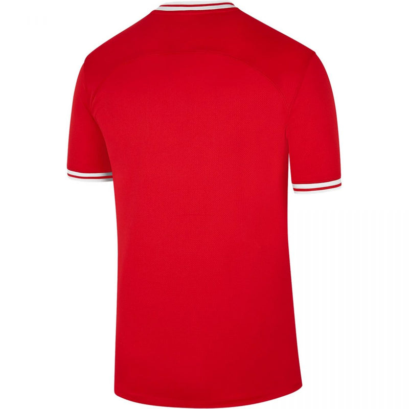 Camiseta Polonia 22/23 II (Away) - Hombre