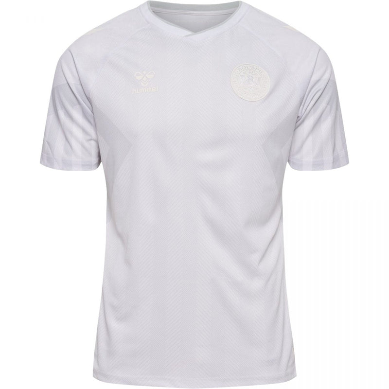 Camiseta Dinamarca 22/23 II (Away) - Hombre